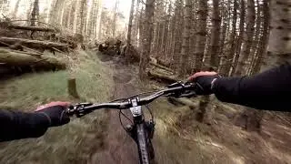 Blairadam, Fife MTB
