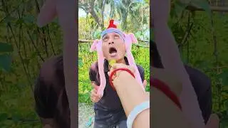 Cute Baby Very funny 😛🐶🥺 #funny #dog #dogs #doglove #alone #sad #chocolate #funnyvideo