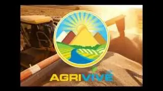Buy Bulk Durum Wheat for Import, Durum Wheat Importer, Durum Wheat Imports, Durum Wheat Importing