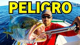 Pesca de Yellow Tail y un TIP DE SEGURIDAD