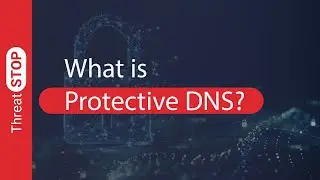 What is Protective DNS, Exactly?