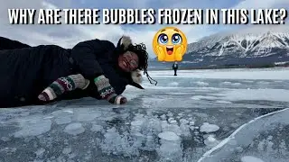 Why Are There Frozen Ice Bubbles at Abraham Lake? | Canada&rsquo;s Most Surreal Winter Phenomenon