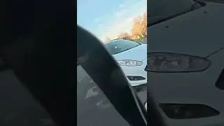&laquo;Прости, Кев&hellip; Собака сказала свое слово 🐶😂&raquo; #шорты