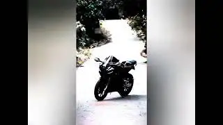 r15  lover status video 2023