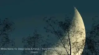 White Noise for Deep Sleep & Focus | Pure White Noise for 12 Hours. #WhiteNoise #SleepNoise