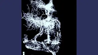 ROOT