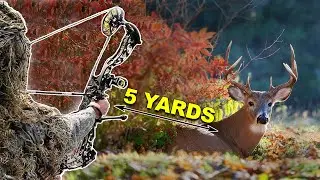 5 yards from a GIANT Mountain Buck! - Spot and Stalk in Socks