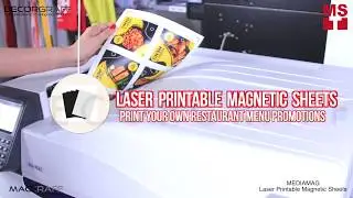 Print Magnetic promotional menu cards : Magnetic Sheets