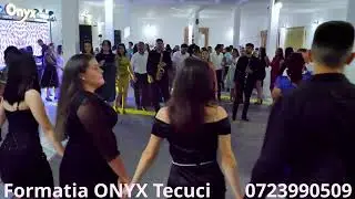 Formatia Onyx Tecuci , 2024 nunta Vrancea Nereju Sarba