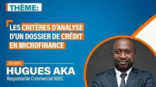 LES CRITERES D'ANALYSE D'UN DOSSIER DE CREDIT EN MICROFINANCE