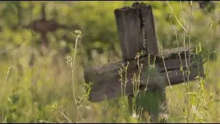Pr. Marian Mărcuş - Doamne, să nu pot vreodată (videoclip)