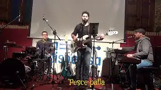 Pesce Palla