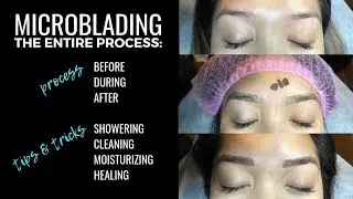 Microblading My Eyebrows Full Process: Before, During, & After