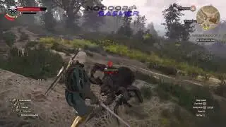 Arachnomorph kill Witcher 3 Wild Hunt