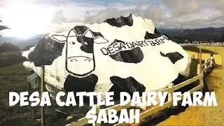 Desa Cattle Dairy Farm | Kundasang | Ranau | Sabah | Malaysia | Aerial View