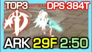 TOP3 Mystic Knight ARK 29F 2:50 / DPS 384 Trillion / ARK Contest S1 / Dragon Nest China