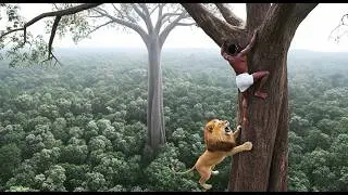 Real-Life Tarzan: The Man Who Spent 41 Years Alone &ndash; Ho Van Lang&rsquo;s Untold Story