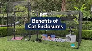 The Benefits of Cat Enclosures | Catnets & Petstock Australia