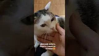 Сладкий Джозеф❤️Welcome to my channel ❤️  Please  subscribe to my channel 🙏
