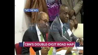 Emefiele targets double digit-growth in a CBN&rsquo;s 5-year roadmap