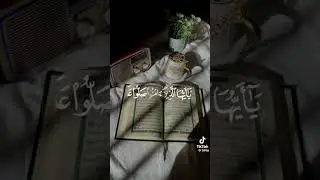 ٨ يونيو ٢٠٢٤