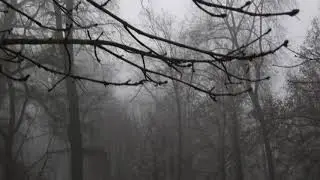 Balnasar -  Regen