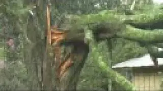 Hurricane Gustav