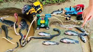 Catch fish using mini water pump and Kubota RD 85 diesel engine | Fishing exciting | diy tractor
