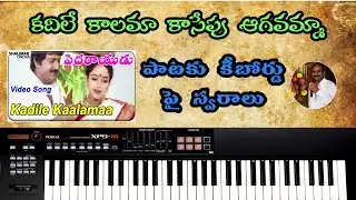 Kadile kalama || Notes on keyboard || Telugu keyboard Tutorial  ||  Pedha rayudu ||  9248951498