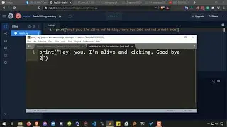 02 -  Printing in Python