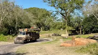 🇺🇸 Disney&rsquo;s Animal Kingdom Safari Ride | Immersive Wildlife Experience in Orlando