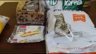Ordered from Blinkit shopping app, Watch this morning vlog , Subscribe now