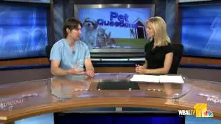 May 26: Pet Questions Answered