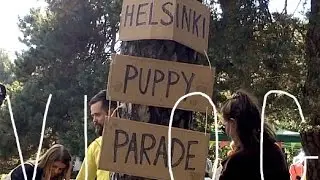 Pup Parades and Kitten Playdates