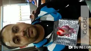 With our students merge cube