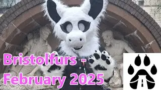Bristolfurs - Photo highlights - February 2025