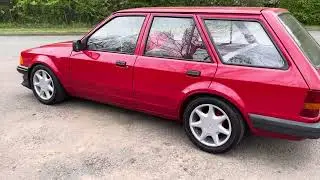 Escort mk3 estate bugs