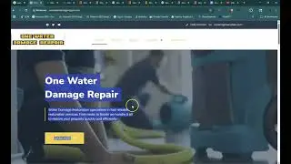 One Water Damage Repair Online Audit | Peterson SEO