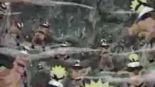 Naruto - Toxic