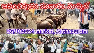 అనంతపురం శనివారం మార్కెట్  26/10/2024 | Reddy Gari Abhay | #market #viralvideos