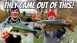 We Caught These Fish From a Warm Water DooDoo Discharge!