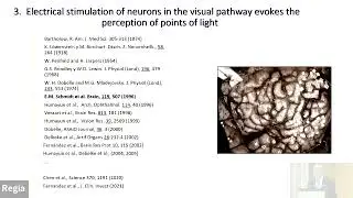 Macula Today 2023 - PROF. EDUARDO FERNÁNDEZ