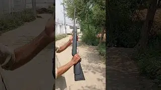Birds hunting with airgun | Airgun Hunting in village | Best Springer low budget airgun | Air Rifle