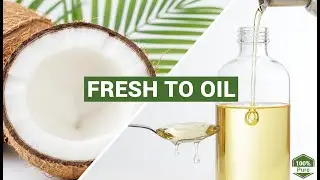 Inside a Coconut Oil Plant: From Fresh Coconut to Premium Virgin Oil V100 Full Process