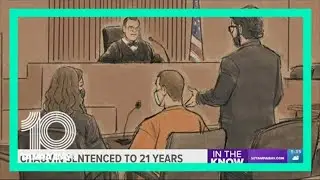 Ex-Minneapolis officer Derek Chauvin sentenced to 21 years in prison