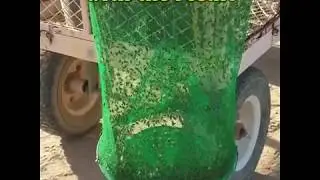 The Most Effective Horse Fly Trap