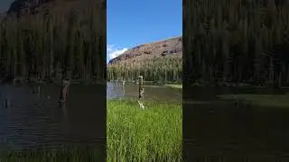 Lake Mary - stream gauge measuring high flows this year. Mammoth Lakes