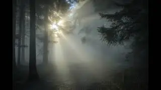 Dusty Sun