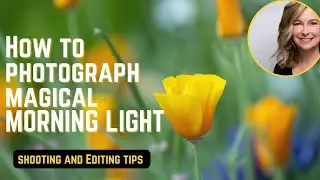 Photograph the magical morning light and edit with ease in  Lightroom.