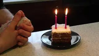 Happy Birthday Giuseppe